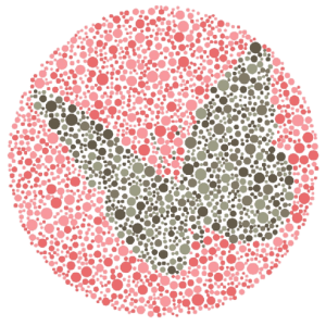 gambar test buta warna